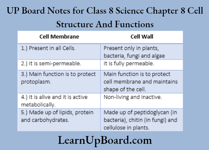 UP Board Notes for Class 8 Science Chapter 8 Cell Structure and Functions Difference Between Cell Membrane And Cell Wall