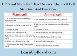UP Board Notes for Class 8 Science Chapter 8 Cell Structure and ...