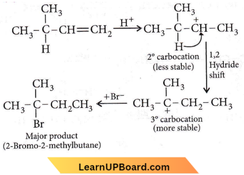 Hydrocarbons 2 Bromo 2 Methylbutane