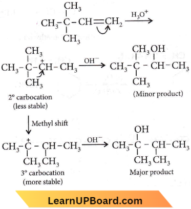 Hydrocarbons 2 and 3 Carbocations