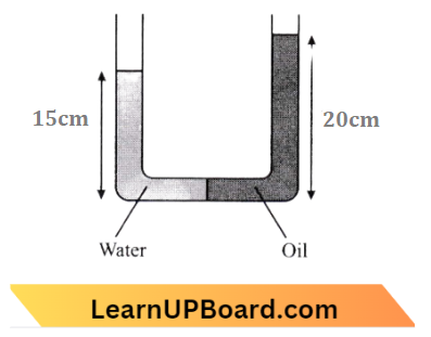 Mechanical Properties Of Fluids The Water And Oil Are Left Side And Right Side OF The Tube