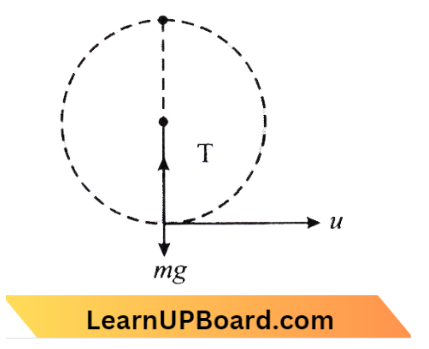 Motion In A Plane A Mass m Is Attached To A thin Wire And Whirled In A Vertical Circle