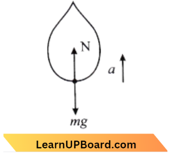 Motion In A Straight Line Mass Should Be Removed From It Start Moving Up With An Acceleration a