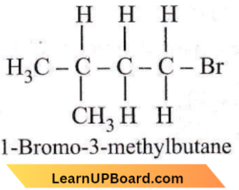 Organic Chemistry Some Basic Principles And Techniques 1 Bromo 3 methylbutane