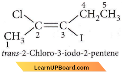 Organic Chemistry Some Basic Principles And Techniques Compound Is trans 2 Chloro 3 iodo 2 pentene