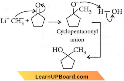 Organic Chemistry Some Basic Principles And Techniques Cyclopentanonyl Anion