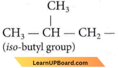 Organic Chemistry Some Basic Principles And Techniques iso butyl group