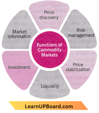 Stock Market Indices Functions OF Commodity Markets