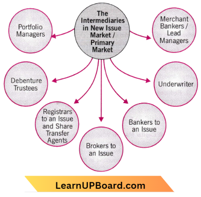 Stock Market The Intermediaries In New Issue Market Or Primary Market