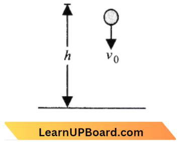 Work, Energy And Power Velocity Of Ball With Collides With Ground