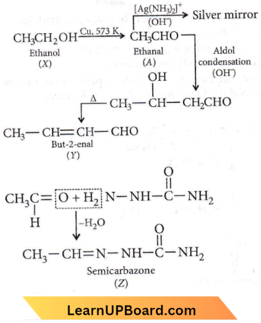 Aldehydes Ketones And Carboxylic Acids Aldehyde And Aldehydes