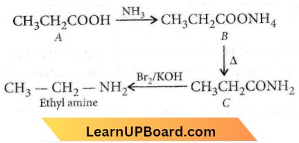 Aldehydes Ketones And Carboxylic Acids Ethyl Amine.
