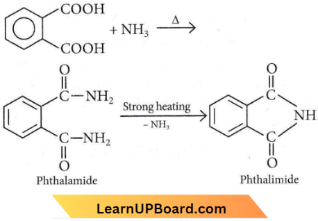 Aldehydes Ketones And Carboxylic AcidsPhthalamide