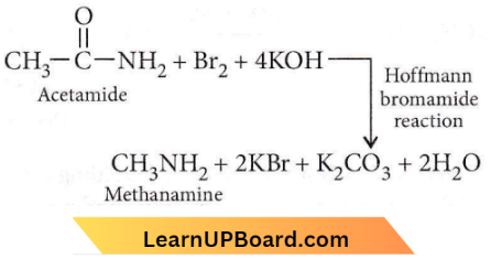 Amines Hoffmann Bromamide Reaction