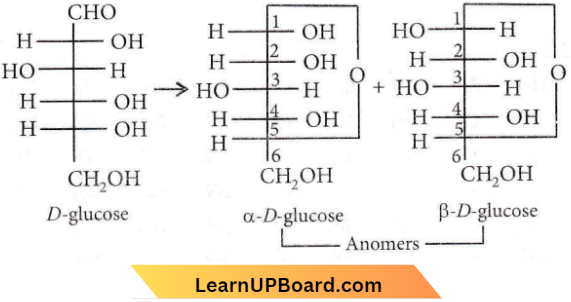Biomolecules Anomers