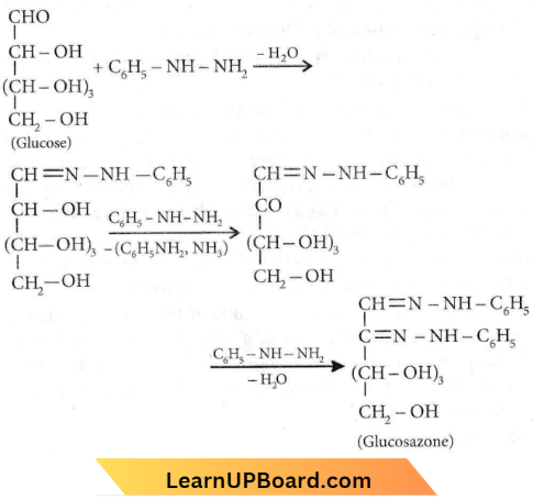 Biomolecules Phenyl Hydrazine