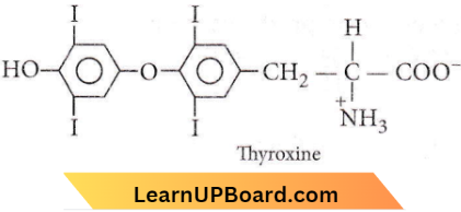 Biomolecules Thyroxine Is An Amine Hormone And Water Soluble Hormone