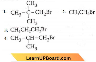 Haloalkanes And Haloarenes Primary And Secondary Alkyl Halides