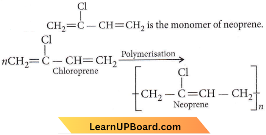 Polymers Monomer Of Neoprene.
