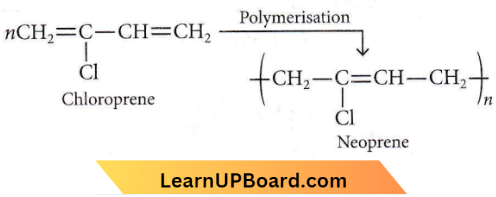 Polymers Neoprene