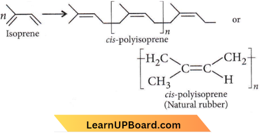 Polymers cis 1 4 Poluisoprene