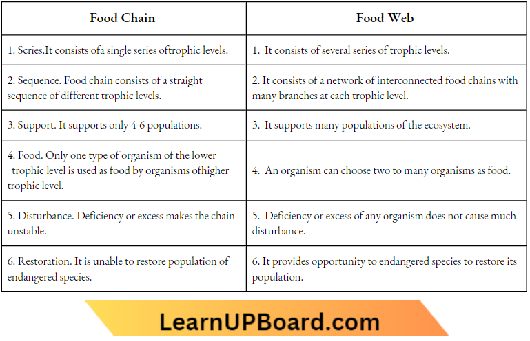 Environment Ecosystem What Are Its Components Difference Between Food Chain And Food Web