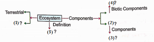Environment Ecosystem What Are Its Components Ecosystem And Its Componets