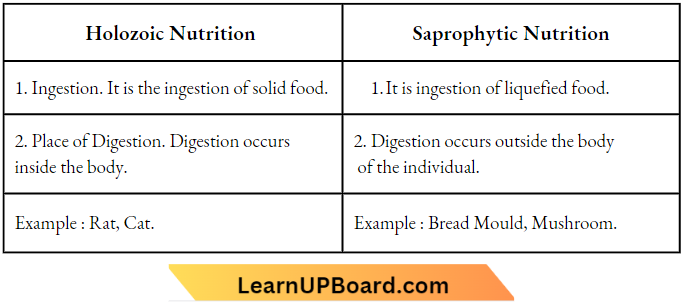 Nutrition Differences Between Holozoic Nutrition And Saprophytic Nutrition