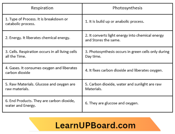 Respiration Difference Between Respiration And Photosynthesis