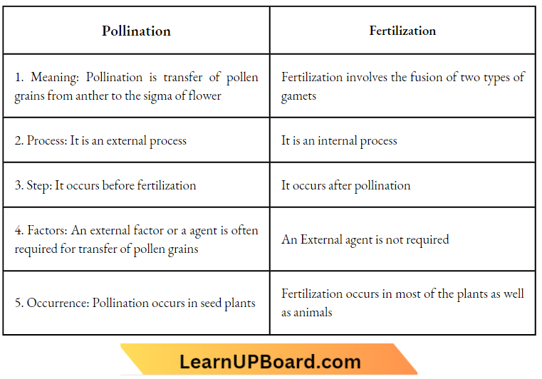 Sexual Reproduction Pollination And Fertilization