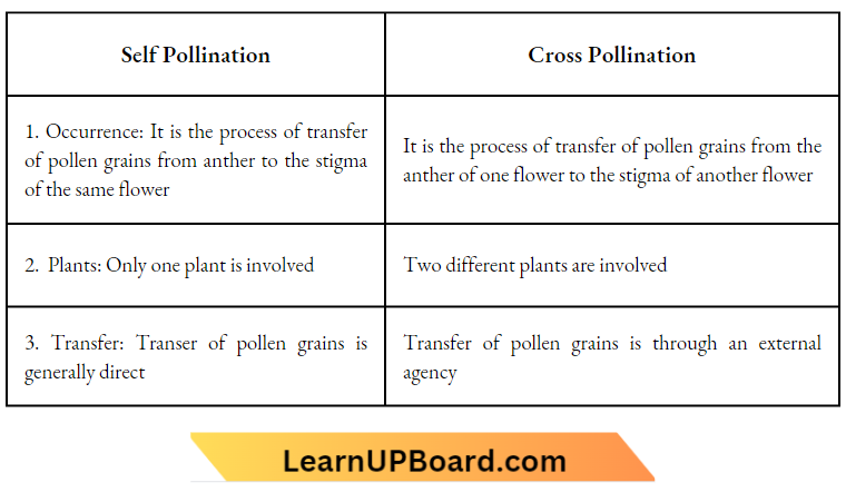 Sexual Reproduction Self Pollination And Cross Pollination.