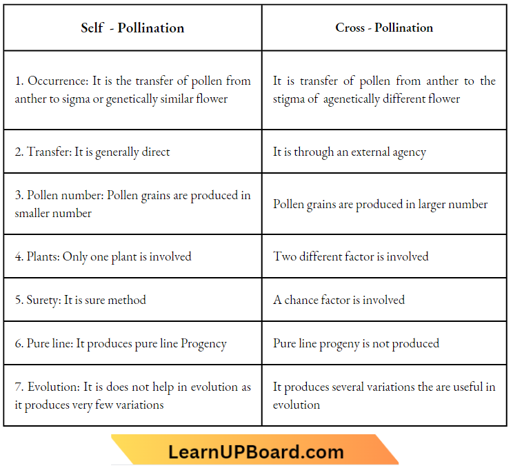 Sexual Reproduction Self Pollination And Cross Pollination