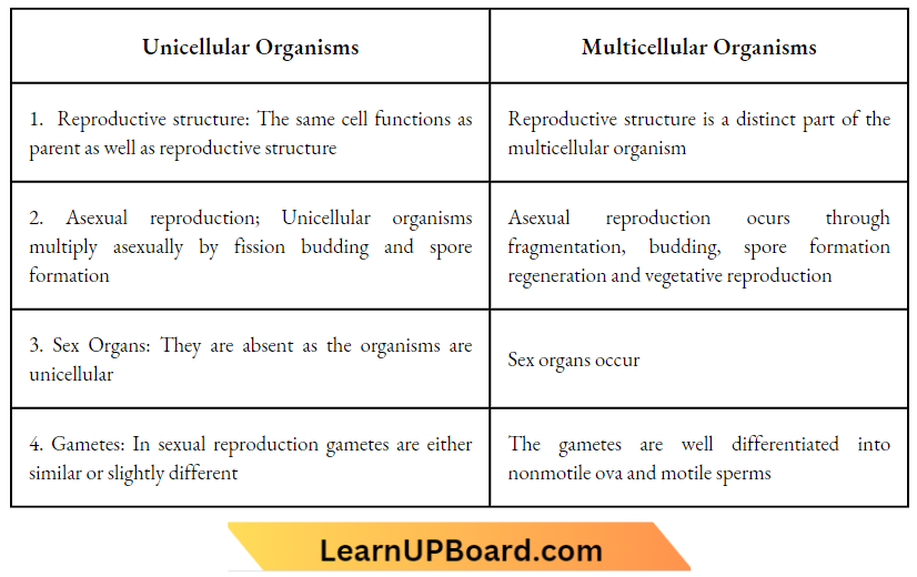 Sexual Reproduction Unicellular Organisms And Multicellular Organisms