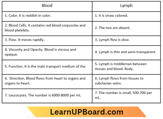 Transportation Difference Between Blood And Lymph