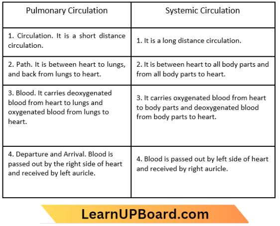 Transportation Difference Between Pulmonary And Systemic Circulations