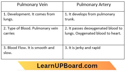 Transportation Difference Between Pulmonary Vein And Pulmonary Artery