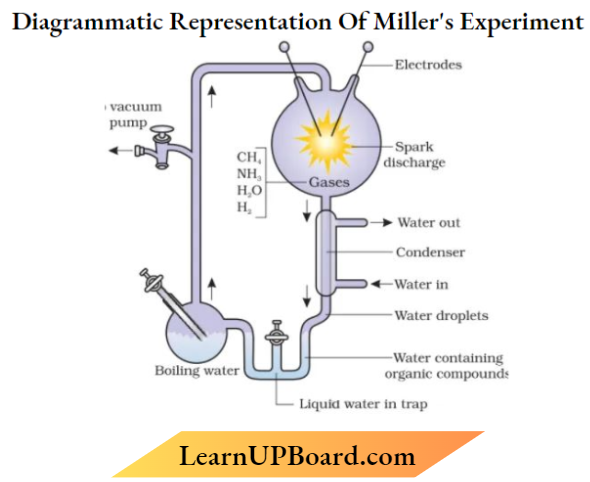 Evolution Diagrammatic Representation Of Miller's Experiment
