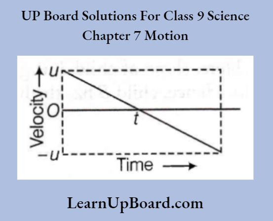 UP Board Class 9 Science Chapter 7 Motion The Velocity Versus Time Graph For The Stone
