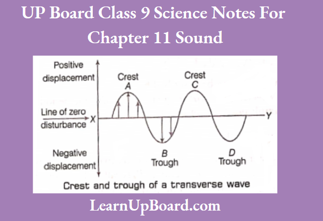 UP Board Class 9 Science Chapter 11 Sound Crest And Trough Of A Transverse Wave