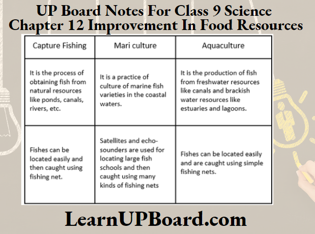 UP Board Class 9 Science Chapter 12 Improvement In Food Resources Difference Between Fishing, Mariculture And Aquaculture