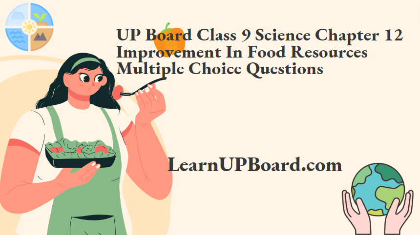 UP Board Class 9 Science Chapter 12 Improvement In Food Resources Multiple Choice Questions