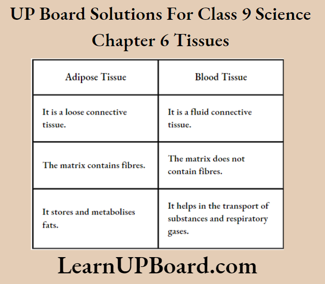 UP Board Class 9 Science Chapter 6 Tissues Differences Between Adipose And Blood Tissue