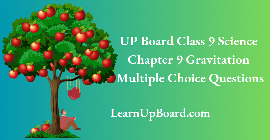 UP Board Class 9 Science Chapter 9 Gravitation Multiple Choice Questions
