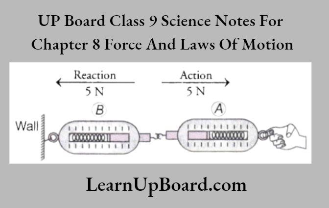 UP Board Class 9 Science Notes For Chapter 8 Force And Laws Of Motion Newtons Third Law Of Motion