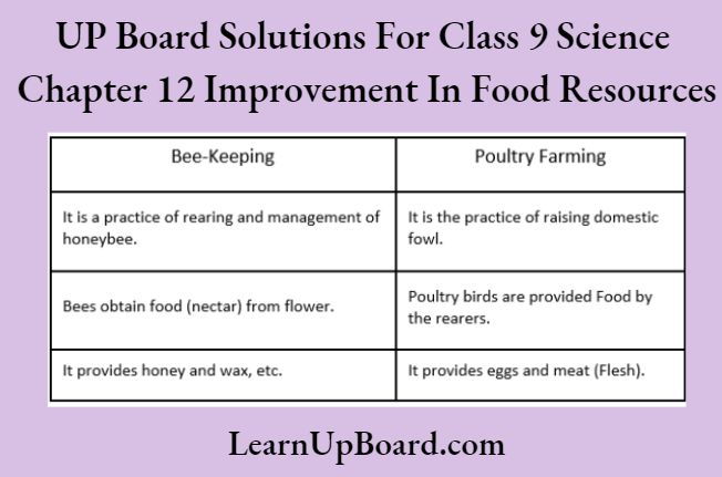 UP Board Solutions For Class 9 Science Chapter 12 Improvement In Food Resources Difference Between Bee Keeping And Poultry Farming