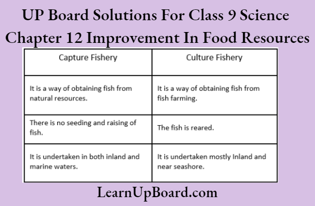 UP Board Solutions For Class 9 Science Chapter 12 Improvement In Food Resources Difference Between Capture and culture fishery