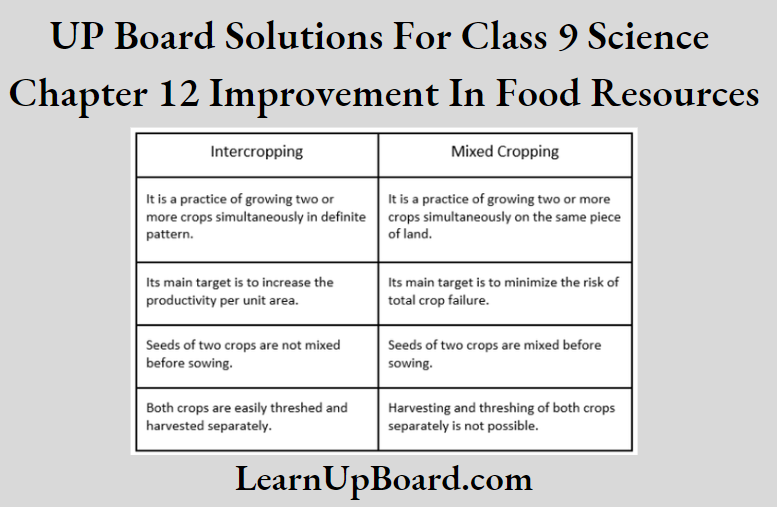 UP Board Solutions For Class 9 Science Chapter 12 Improvement In Food Resources Difference Between Intercropping And Mixed Cropping