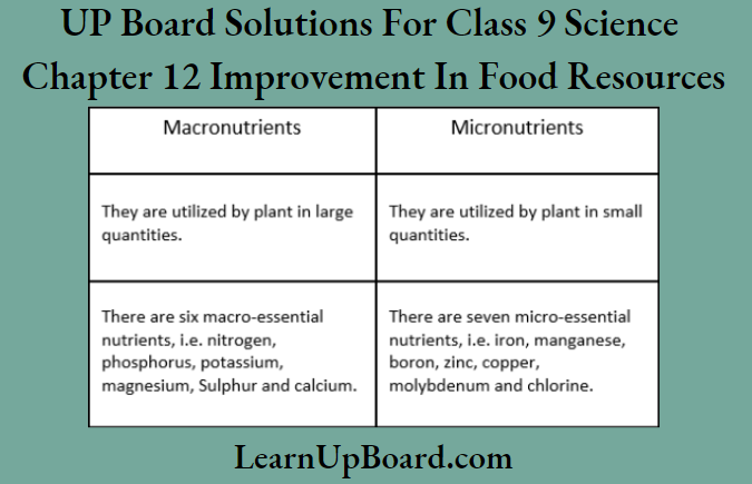 UP Board Solutions For Class 9 Science Chapter 12 Improvement In Food Resources Difference Between Macronutrients And Micronutrients