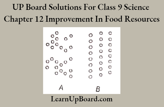 UP Board Solutions For Class 9 Science Chapter 12 Improvement In Food Resources The Black And White Dots Indicates The Two Types Of Crop Pattern