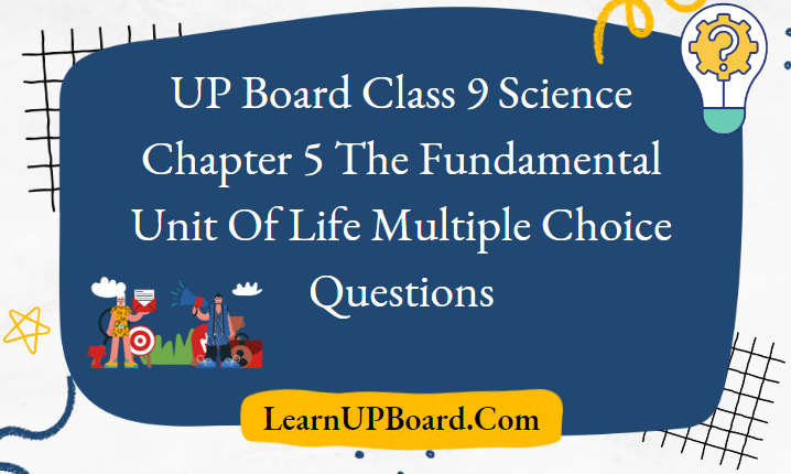 UP Board Solutions For Class 9 Science Chapter 5 The Fundamental Unit Of Life Multiple Choice Questions
